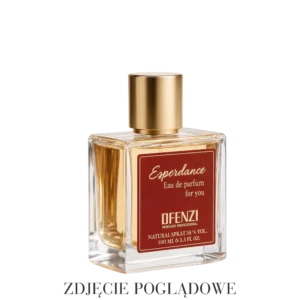 Perfumy unisex Experience JFenzi – woda perfumowana 100 ml w eleganckim flakonie